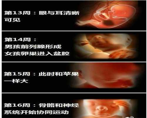 【台湾做供卵试管婴儿医院】记录一下多囊促排和输卵管造影