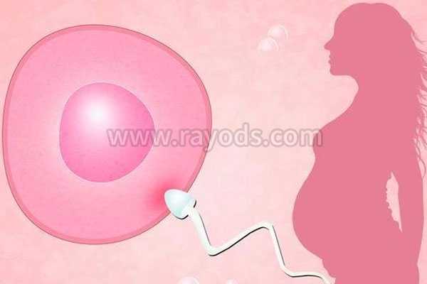 潮州借卵机构_潮州卵巢衰竭能借卵生小孩吗_做试管婴儿过程最痛苦的是什么？