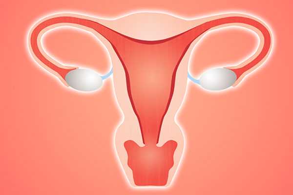 景德镇供卵子机构_常见的输卵管异常情况有哪几种？对做美国试管婴儿有影响