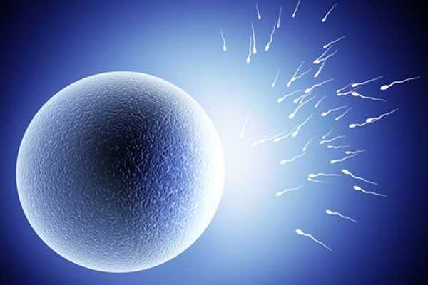 马鞍山卵巢早衰可以供卵吗？_网传试管婴儿90%不是自己的，事实真相竟然是这