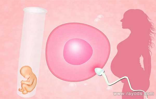 延安做供卵试管婴儿移植是几代_赴马来西亚做试管需要提前准备好哪些证件？