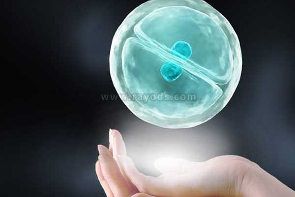 呼伦贝尔省妇保可以供卵试管吗_试管移植哪种胚胎成功率高？冻胚以及囊胚移