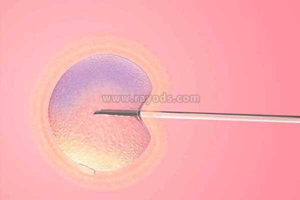 呼伦贝尔省妇保可以供卵试管吗_试管移植哪种胚胎成功率高？冻胚以及囊胚移