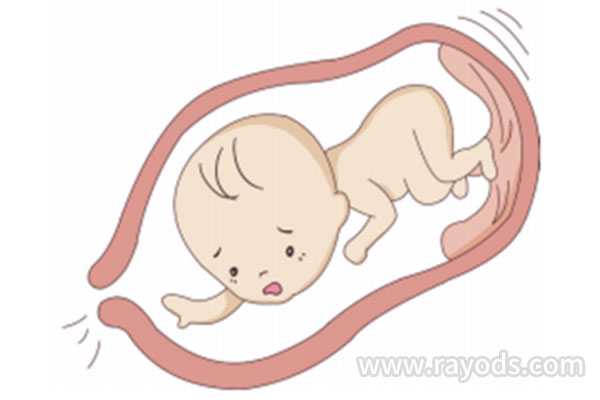 红河借卵生子的危害_红河借卵生子的年龄_宫颈糜烂患者能做试管婴儿吗