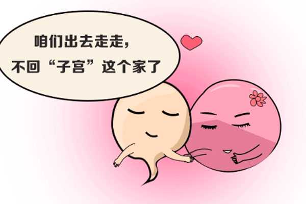 香港有多少人需要借卵生子_香港借卵子和怀孕者有血缘_试管婴儿移植后出血是