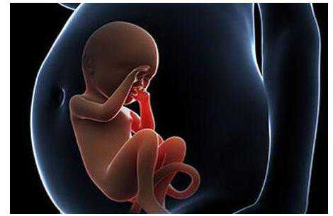 黄南藏族合法供卵代孕_黄南藏族供卵代孕生男孩_美国试管婴儿如何测试女性生