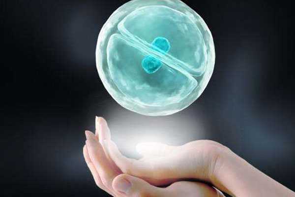 彭水寻找代孕医院_彭水最好的代孕机构_想在体内植入两个胚胎，上海中山医院