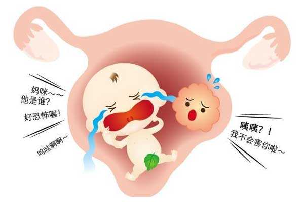 合肥代孕公司微信_合肥长江医院代孕_子宫肌瘤患病率达25%，是否影响试管婴儿