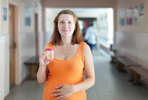 绥化代孕包男多少钱_美国试管婴儿周期中，什么时间移植胚胎成功率会比较高