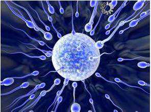 咸宁提供代孕费用_咸宁代孕服务最好_ 试管婴儿取卵到移植要多长时间 恰当时