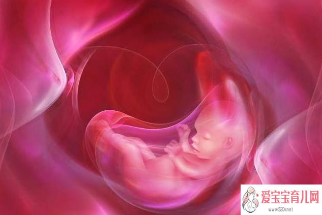 吉林大学生代孕_试管婴儿做了之后，几天就可以验孕了呢？