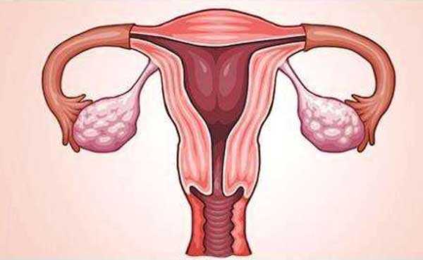 常州专业合法代孕_常州正规代孕推荐_泰国试管婴儿为什么要选择囊胚移植？