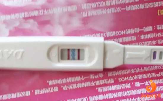 香港代孕产子公司选性别_香港艾滋病可以代孕么_【上海妇保可以做供卵试管吗