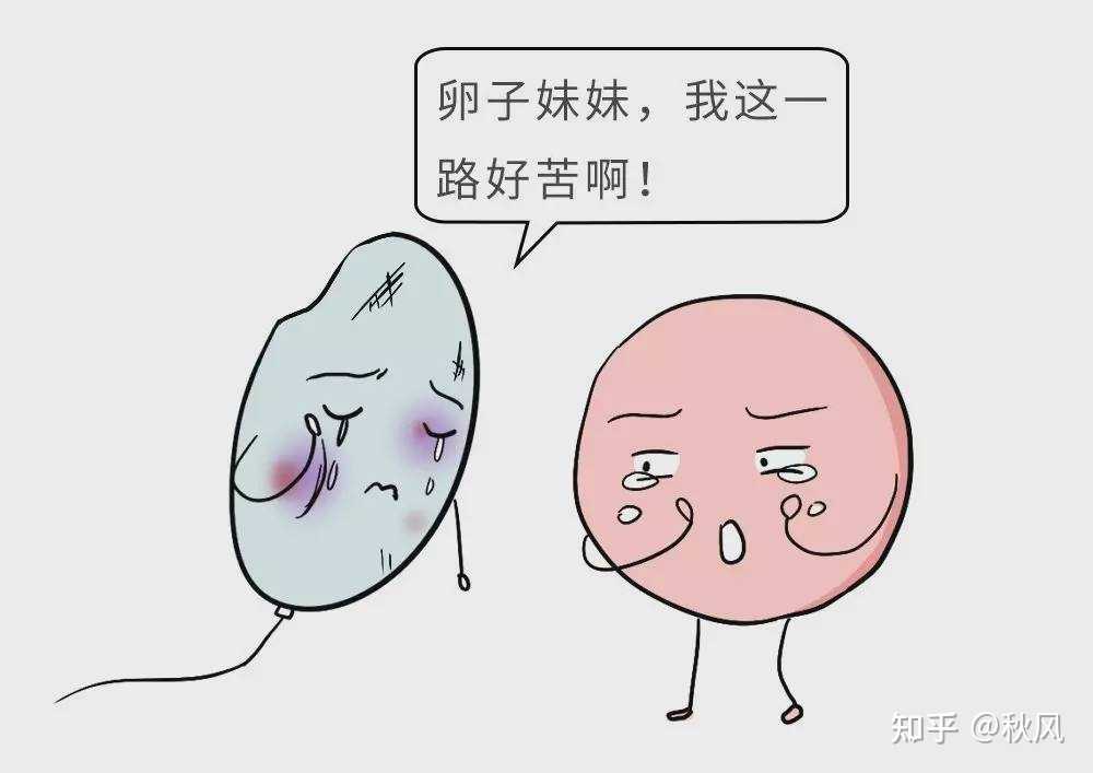 广州供卵试管代怀生子医院排名，附供卵生男孩费用一览！-代生报价